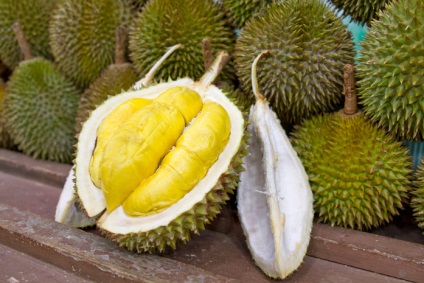 Durian hasznos tulajdonságai az ellentmondás a világon a gyümölcs