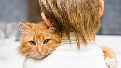 Fényképek allergiás kiütés (allergiás) Fényképek allergiás kiütés