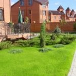 Lawn az országban (39 fotó) sport, video használati nyilvántartási saját nyaraló saját kezűleg (fotó) Lawn az országban (39 fotó) sport, video használati nyilvántartási saját nyaraló saját kezűleg