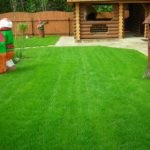 Lawn az országban (39 fotó) sport, video használati nyilvántartási saját nyaraló kezével (a ház pázsitfű sportok nyilvántartási ár) Lawn az országban (39 fotó) sport, video használati nyilvántartási saját nyaraló saját kezűleg