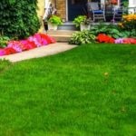 Lawn az országban (39 fotó) sport, video használati nyilvántartási saját nyaraló saját kezűleg (sport) Lawn az országban (39 fotó) sport, video használati nyilvántartási saját nyaraló saját kezűleg