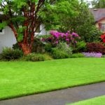 Lawn az országban (39 fotó) sport, video használati nyilvántartási saját nyaraló saját kezűleg (elővárosi) Lawn az országban (39 fotó) sport, video használati nyilvántartási saját nyaraló saját kezűleg