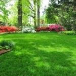 Lawn az országban (39 fotó) sport, video használati nyilvántartási saját nyaraló saját kezűleg (faház) Lawn az országban (39 fotó) sport, video használati nyilvántartási saját nyaraló saját kezűleg