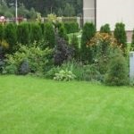 Lawn az országban (39 fotó) sport, video használati nyilvántartási saját nyaraló kezével (a ház pázsitfű sportok nyilvántartási ár) Lawn az országban (39 fotó) sport, video használati nyilvántartási saját nyaraló saját kezűleg