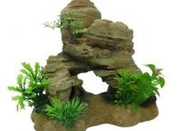 Grottoes akvárium