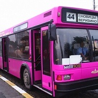 Vállalatcsoport „Console» (bitrix) Vállalatcsoport „konzol”