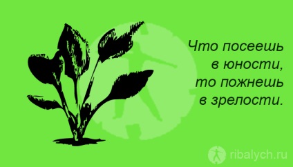Érdekes képek álmok és célok () Érdekes képek az álmok és célok