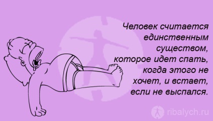 Érdekes képek álmok és célok () Érdekes képek az álmok és célok