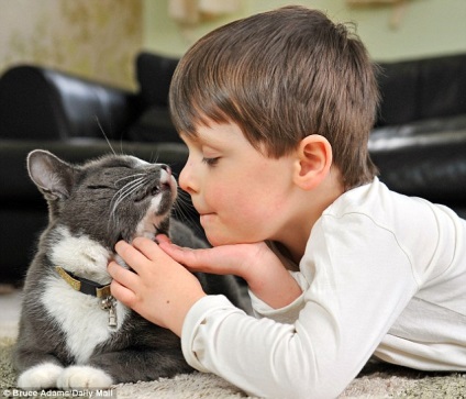 Gyógyító barátság macska és a baba
