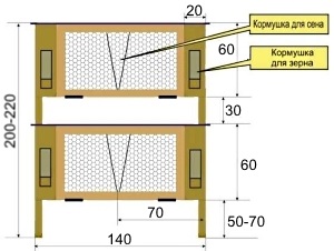 Gyártás sejtek nyulaknak - lépésről lépésre útmutató