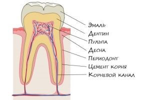 Hogyan befolyásolja a dohányzás a fogak a kár a dohányzás a fogak