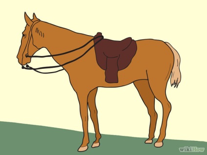 Hogyan járja a ló