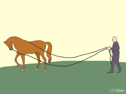 Hogyan járja a ló