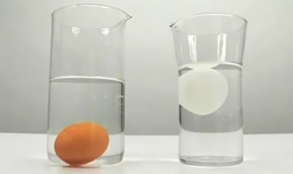 Hogyan állapítható meg a frissességét egy tojást, és hogyan kell tárolni őket