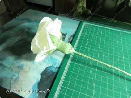 Hogyan készítsünk egy rózsa papírból kezeddel könnyen és fokozatosan áramkör videó