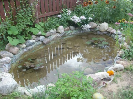 Hogyan építsünk egy kis tó a kertjében - egy kicsit sok dolog