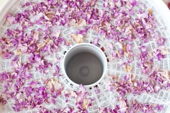 Як сушити пелюстки троянди - рецепт з покроковими фото