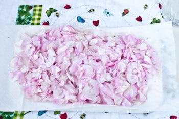 Як сушити пелюстки троянди - рецепт з покроковими фото
