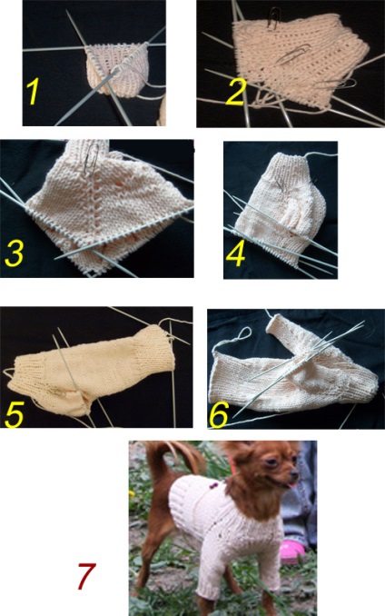 Hogyan kötni egy pulóvert a kutya a kezével vagy hurkolt, rendszerek és Pattern