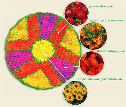 Kerek ágy speciális elrendezés és a dekoráció szép virágos kertek az országban (mintegy virágágyások a ház design fotó gyönyörű év kezüket bőr) Kerek ágy speciális elrendezés és a dekoráció szép virágos kertek az országban