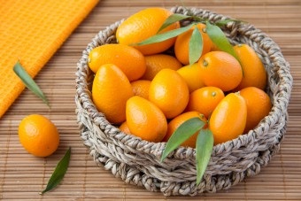 Kumquat hasznos tulajdonságok, mint a táplálkozás, termesztés és karbantartás