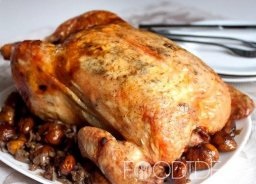 Csirke filé paradicsomszósz - recept fotók