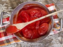Uborka ketchup előforma (tanya)