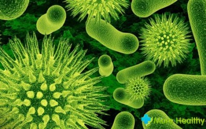 Különösen Pseudomonas aeruginosa fertőzés és annak kezelése