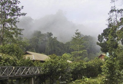 A sziget Kalimantan (Borneó), szigetek a világ