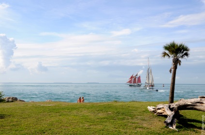 Island Key West (Key West) Floridában fotó