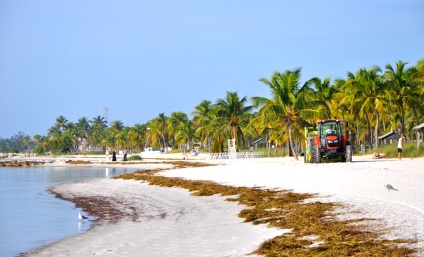 Island Key West (Key West) Floridában fotó