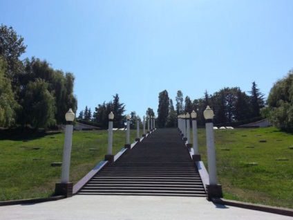 Parks and arborétumok Sochi