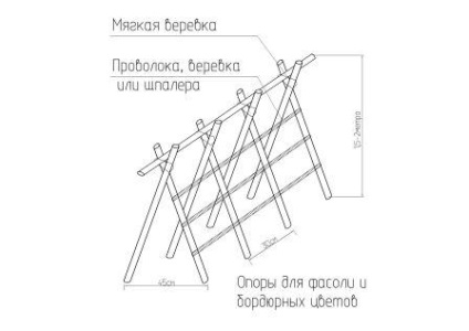 Pergola mászó növények - fotó akárcsak árak