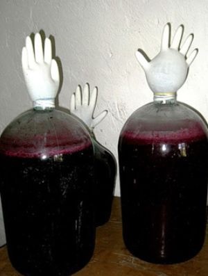 Miért nem bort fermentumokat