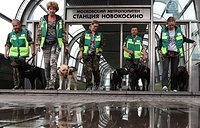 Vonat töredékei képek festmények orosz festészet kezdődött a moszkvai metró - Budapest (festmény) Vonat töredékei képek festmények orosz festészet kezdődött a moszkvai metró - Budapest