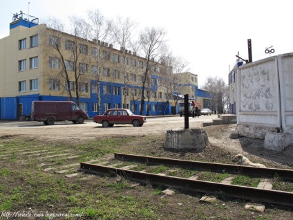 Tolev falu felügyelete mellett egy jávorszarvas „egy másik város” Samara online magazin