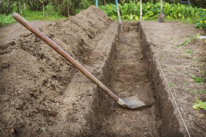 Lépésről lépésre, hogyan lehet a termelés meleg ágy kezüket tavaszán fotó és videó