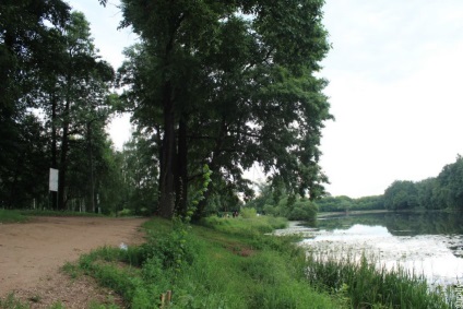 Természetes Történelmi Park - Kuzminki erdei tó, a város központjában, az utazók klub Lucas túra