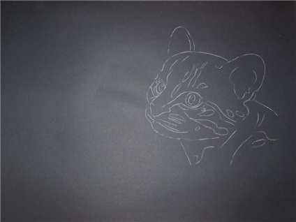Rajzolj egy vad cica, pasztell - ceruzarajz órákat, olajfestmény, akvarell tanulságok
