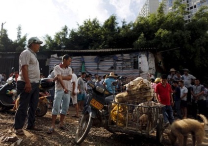 Ru szörnyű kutya húst fesztivál Yulin