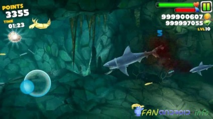 Titkok éhes cápa evolúció letöltés hangri Shark Evolution mod