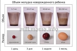 Mennyit kell egy újszülött tej per etetés (lásd a táblázatot)