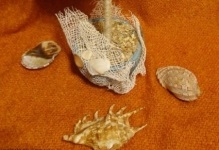 Műkertészeti kagyló kezük-lépésre képek a tengeri mesterkurzus, u