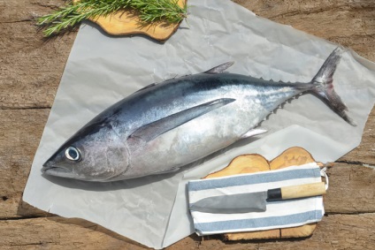 Tuna hasznos tulajdonságok kiváló fehérjeforrás