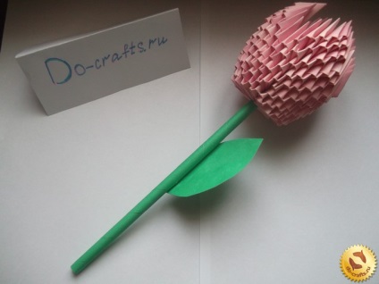 Tulip origami modulok lépésről lépésre rajz és utasítások kezdőknek