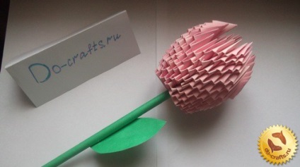 Tulip origami modulok lépésről lépésre rajz és utasítások kezdőknek