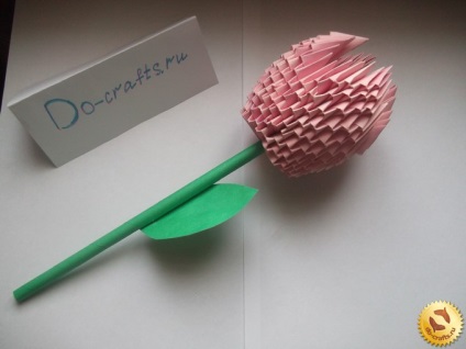 Tulip origami modulok lépésről lépésre rajz és utasítások kezdőknek