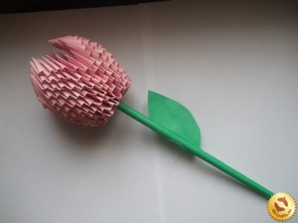 Tulip origami modulok lépésről lépésre rajz és utasítások kezdőknek