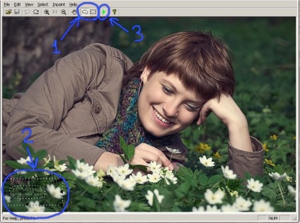 Távolítsuk logó, felirat és dátum egy fénykép nélkül a Photoshop programban Inpaint