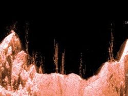 Ultrahangszonárt funkciók ultrahangos mélység rendezettebb, szakértői